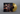 Goldfinch Gold LP