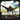 JULIAN MARLEY - AWAKE