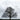 Kiefer Sutherland - Grey