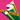 Panda Bear & Sonic Boom - A ? Of When