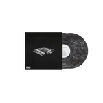 To Pimp a Butterfly 10th Anniversary