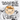 Sean Paul - I'm Still In Love With You