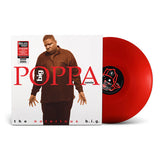 Big Poppa (Remix)