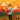 Tyler, The Creator - Flower Boy