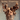 Ryan Adams - The Suicide Handbook